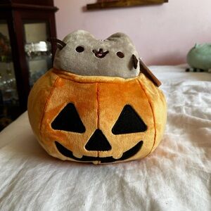 LIMITED EDITION 2019 Gund Pusheen
Halloween plush